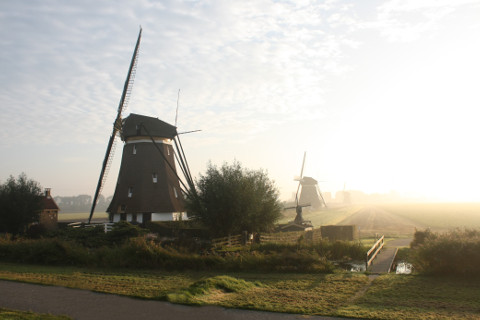 De schrikhekken zijn weg