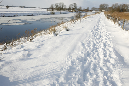 december 2010: sneeuw4..jpg