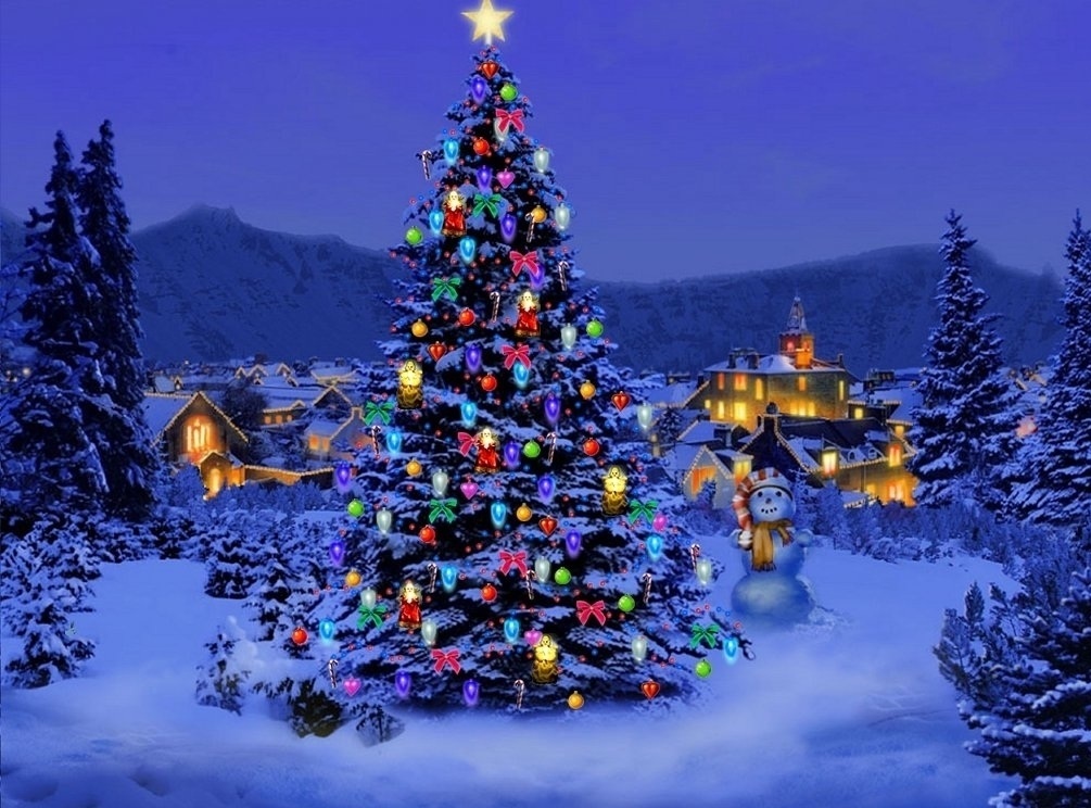december 2012: Christmas_Tree..jpg