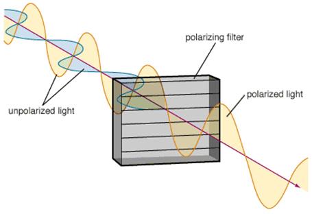 Polarisatiefilter