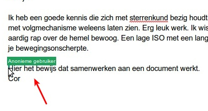 Met meerdere mensen werken aan een Google doc